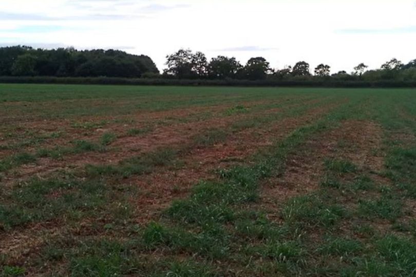 Latest on deferred 75-home development as applicant takes legal advice